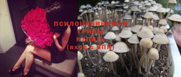 МДПВ Алексеевка