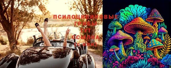 МДПВ Алексеевка